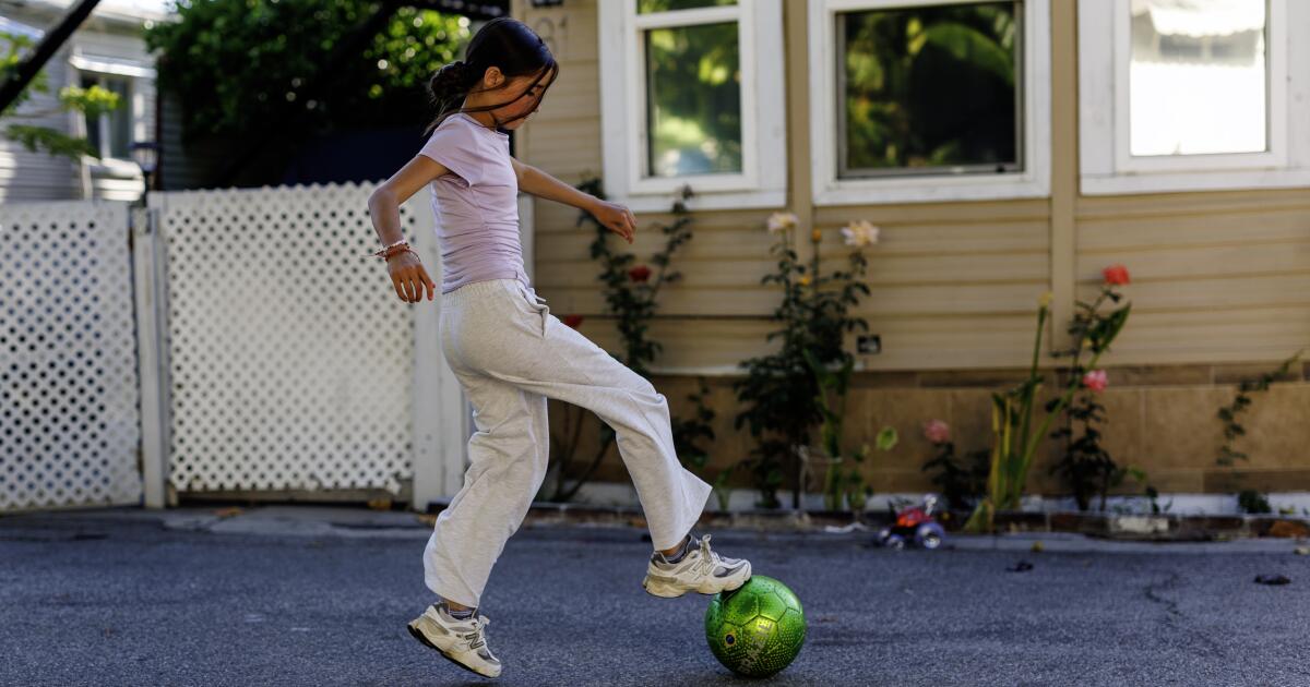 Mobile homes, an overlooked refuge of affordability, are disappearing in L.A. Residents fight to stay.