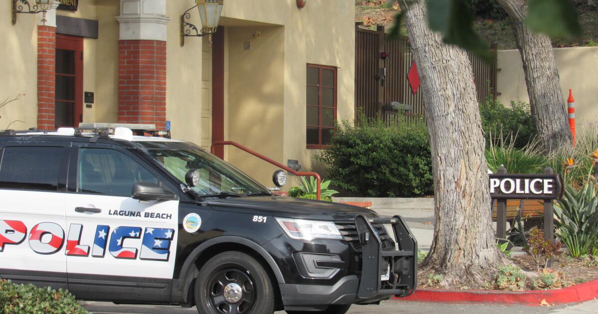 ‘Heartbreaking.’ Laguna Beach man charged with beating mother to death with hammer