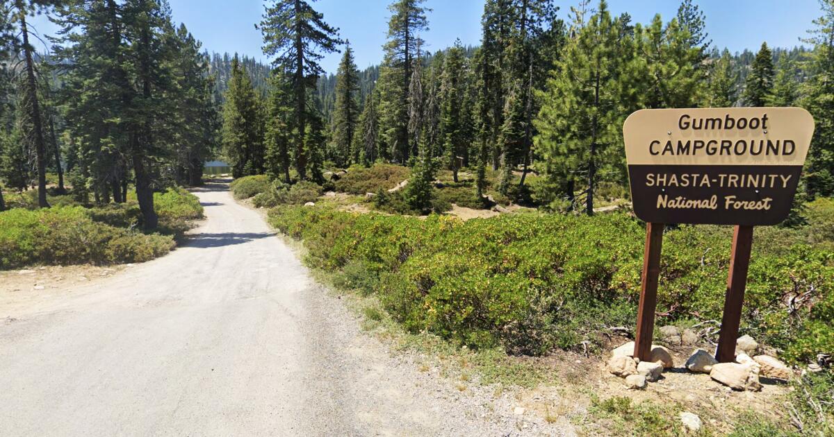 Forest Service workers taken hostage, held at gunpoint in remote NorCal trailer, feds say