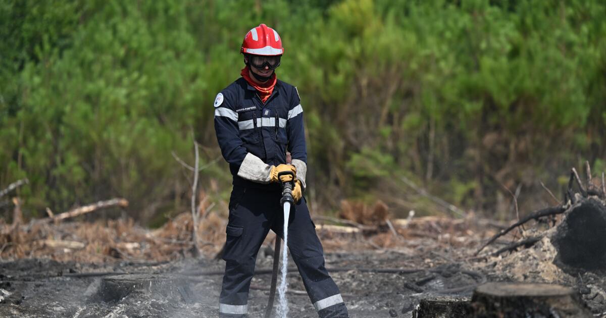 As heat and dry conditions fan wildfires in France, volunteers fan out to help