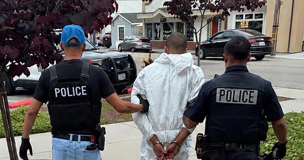 19-year-old lay in wait, stabbed California gallery owner over and over, authorities say