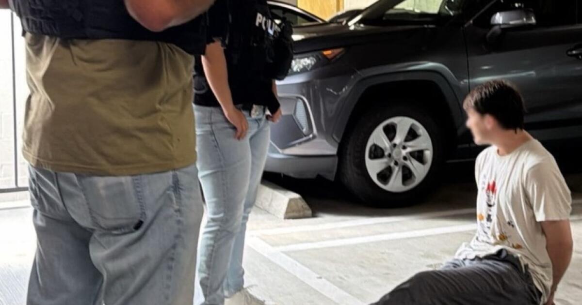 Irvine police nab man accused of spraying ‘Nazi’ and ‘Fascist’ on Teslas. A takeout order led to the arrest