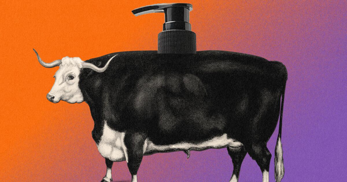 What’s the deal with … beef tallow skincare?
