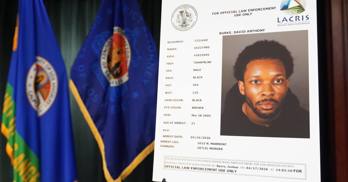 D4vd’s garage had signs of blood where girl’s body was likely cut up, expert testifies