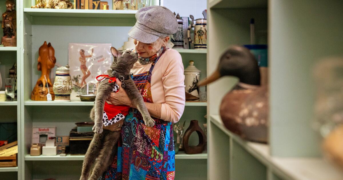 One-eyed rescue cat with Long Beach cult following celebrates 15th birthday in style