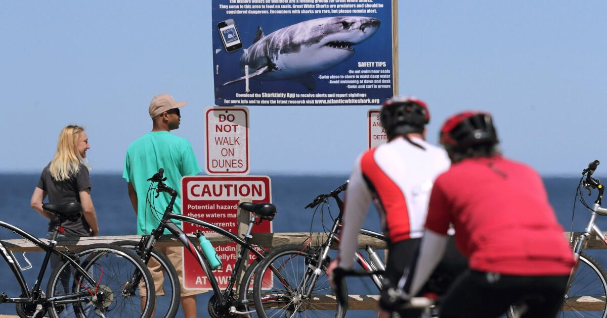 Shark attack on Alabama teen inspires the start of a national alert system