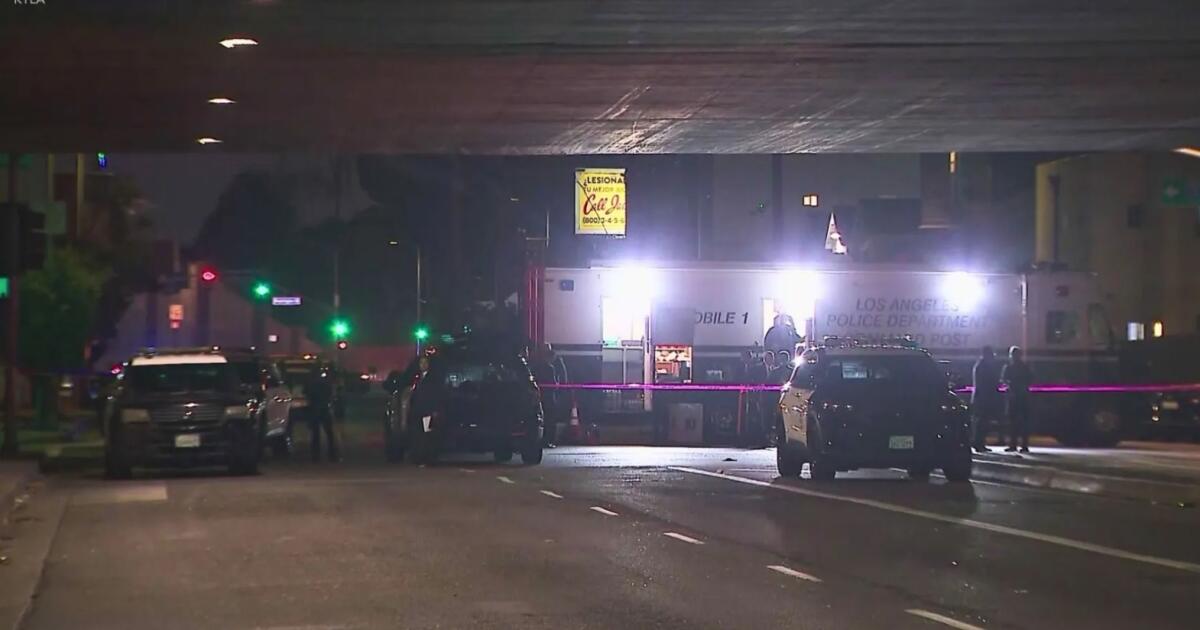 LAPD fatally shoots man swinging bat at cars near freeway onramp, officials say