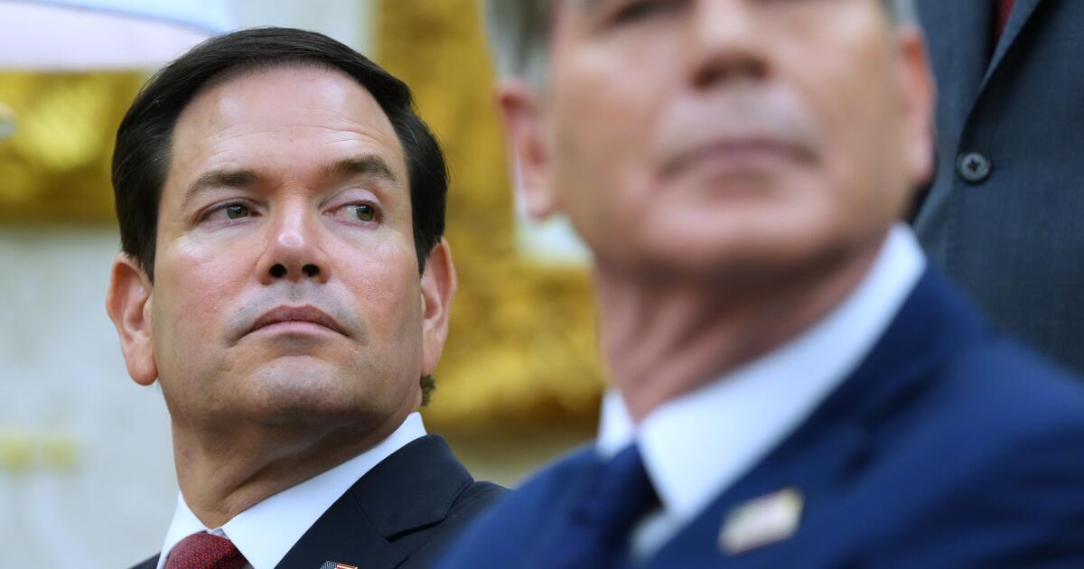 Rubio gathers countries on left-wing political violence as it becomes a Trump focus in elections