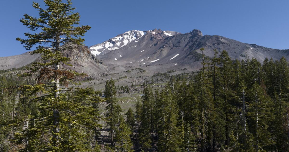 Father-son duo kidnapped U.S. Forest Service workers, held them hostage, feds say