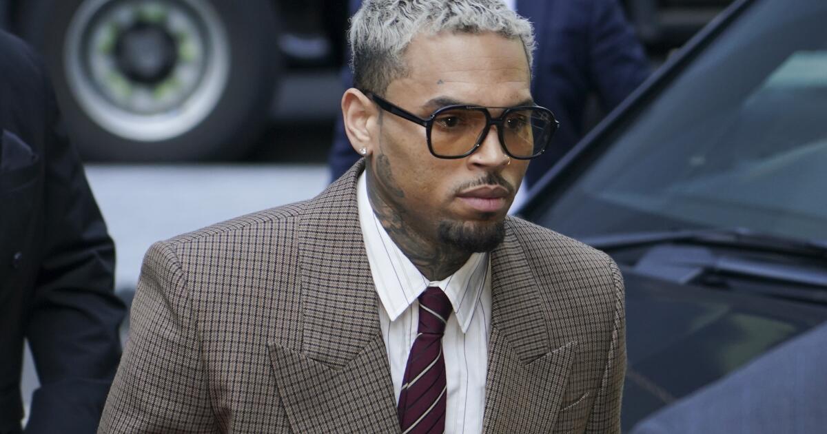 Chris Brown to pay $13 million to housekeeper attacked by singer’s Caucasian shepherd