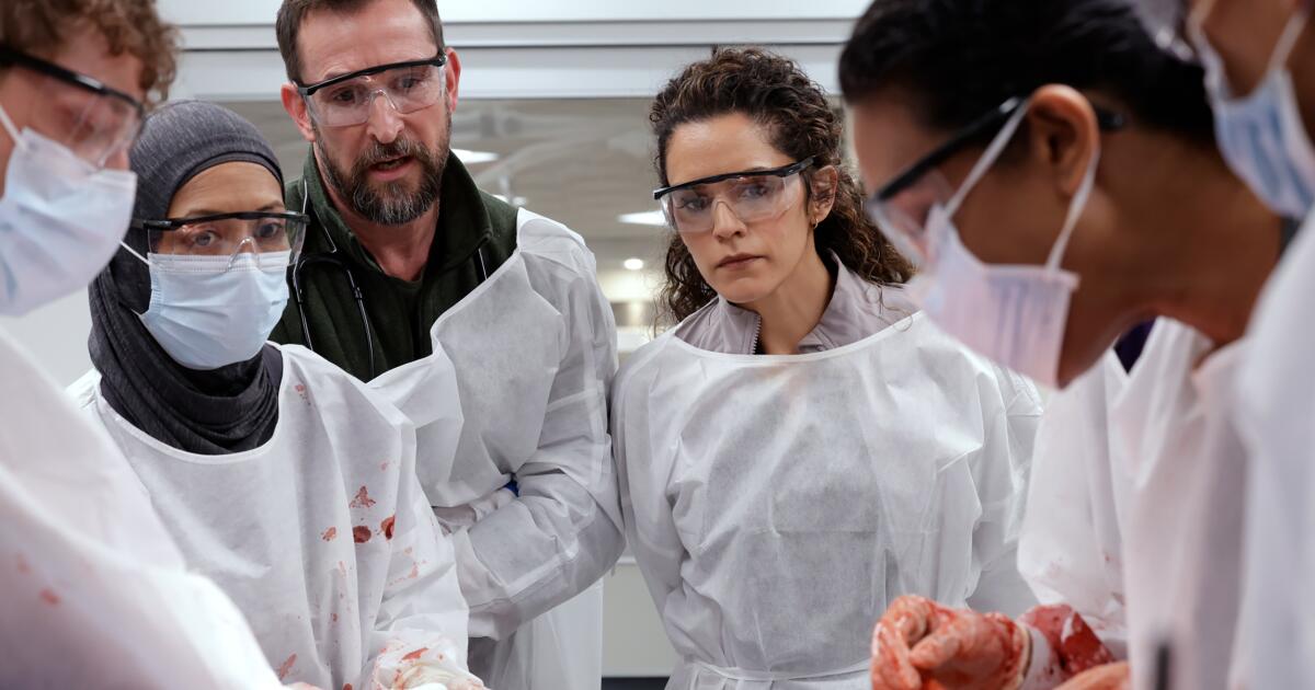 ‘The Pitt’ scores 25 nominations overall, including 13 acting nominations
