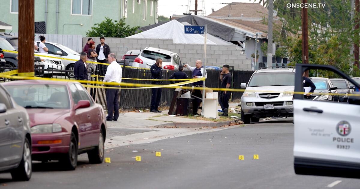 Bullet comes through window, killing L.A. mom as she sleeps; her baby faces uncertain future