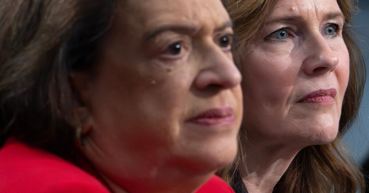 Supreme Court justices tell Congress more must be spent on their security amid safety risk