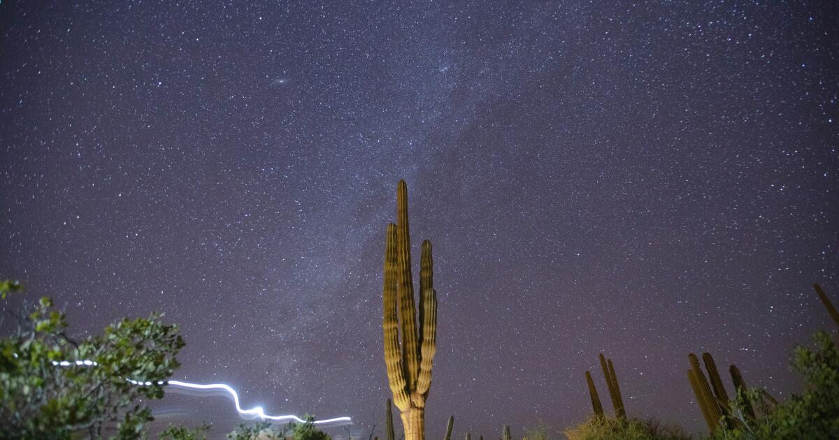Astronomers find sugar between the stars
