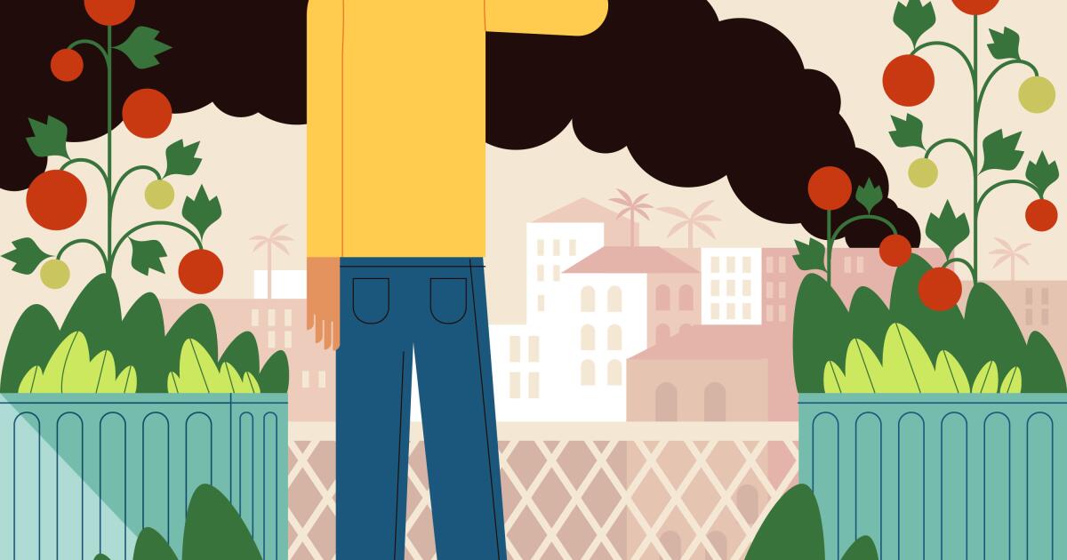 Is it safe to eat from your garden after the Boyle Heights warehouse fire?