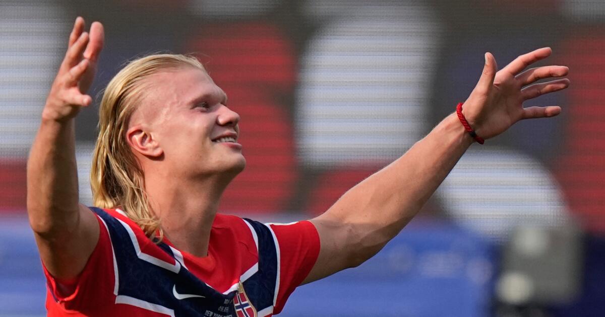 Norway star Erling Haaland left the U.S. with seven World Cup goals and a taxidermy raccoon, sparking a run on the item