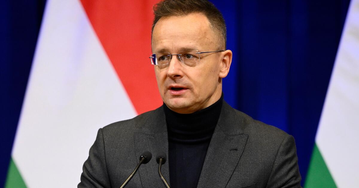 Hungary’s former foreign minister quits parliament for Chinese automaker BYD, sparking backlash