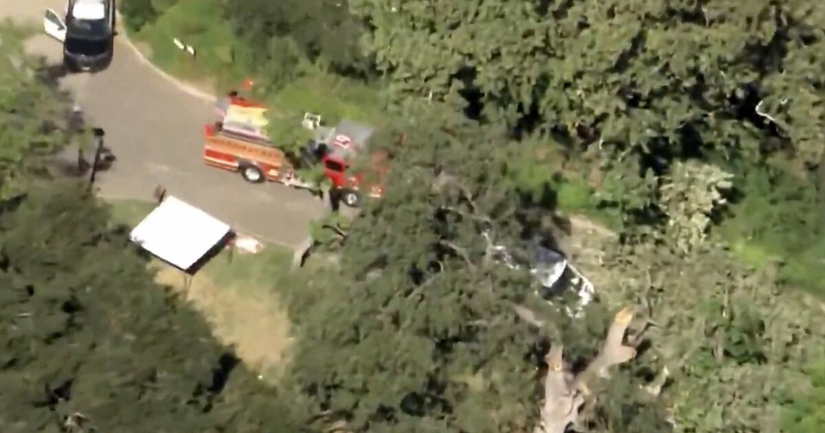 SoCal boy was killed by massive tree branch at summer camp; $19.3-million settlement reached