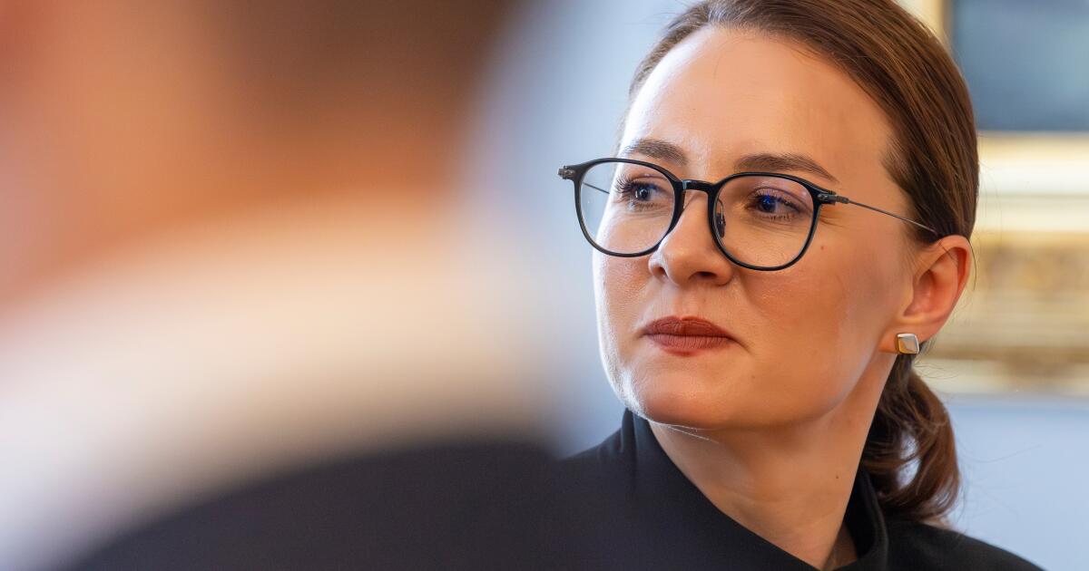 Ukraine’s prime minister steps down as Zelensky announces government reshuffle