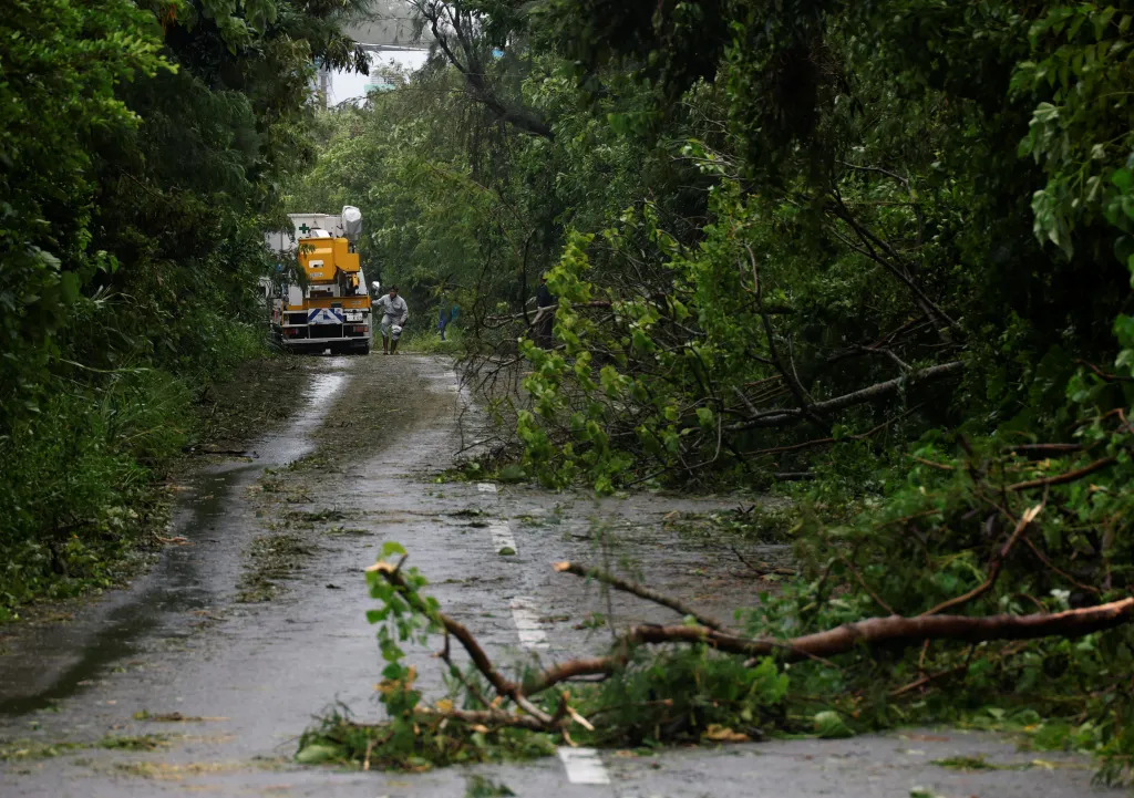 Downed trees scattered on a roadway after Typhoon Bavi struck Ishigaki, Japan.