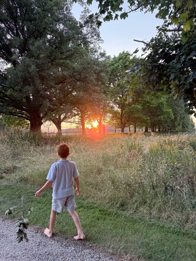 A young boy walking barefoot on a path towards a sunset in a grassy field with trees.
