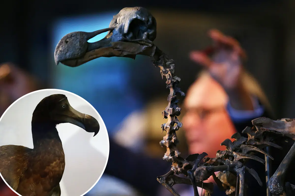 Scientists debunk long-held myth about the most famous animal extinction — turning Darwin’s theory on its head