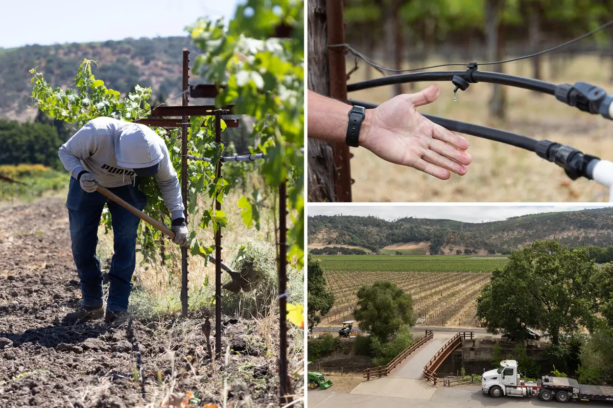 Napa bosses slap water fees on struggling wineries to achieve lefty ‘green’ goals