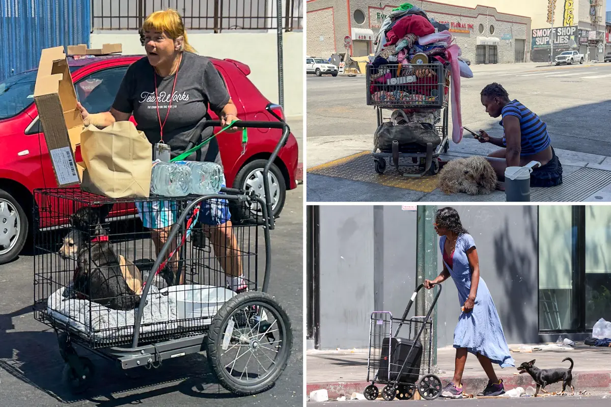 Cold hard cash offered for tipsters to report animal abuse as issue spirals on Skid Row