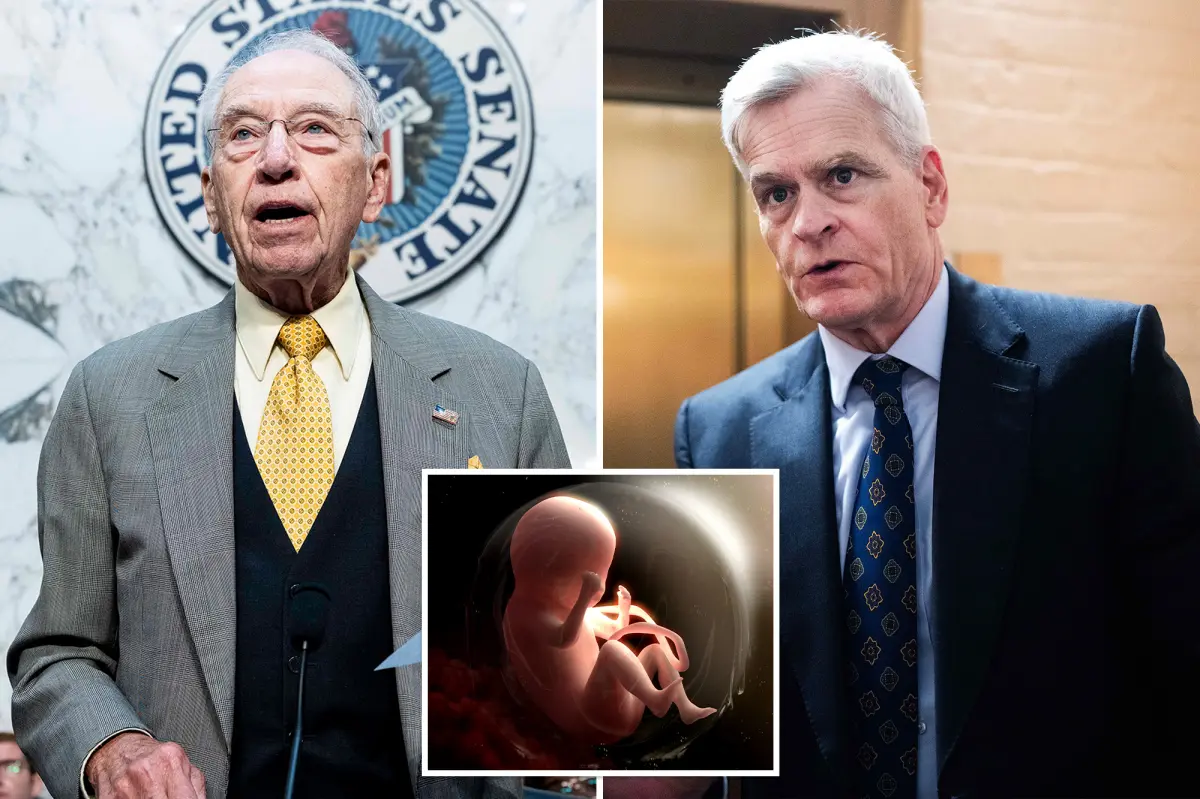 Pro-lifers push investigation into NIH using aborted baby organs and tissue in research