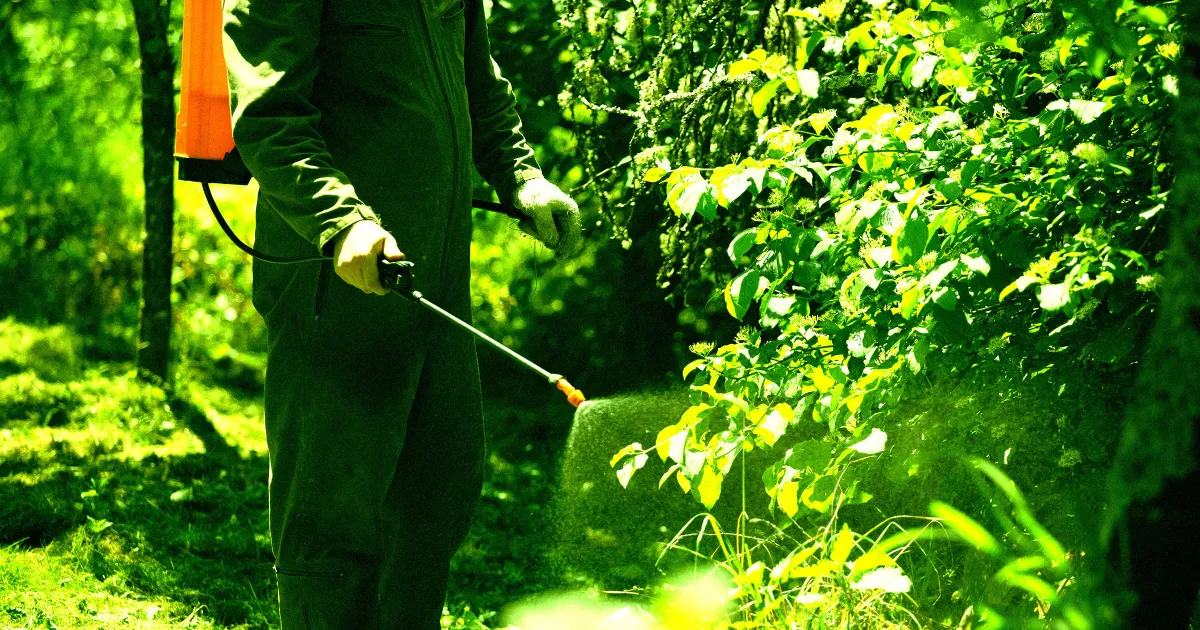 Farmer Horrified as AI Gives Bad Advice That Kills 25 Acres of Crops