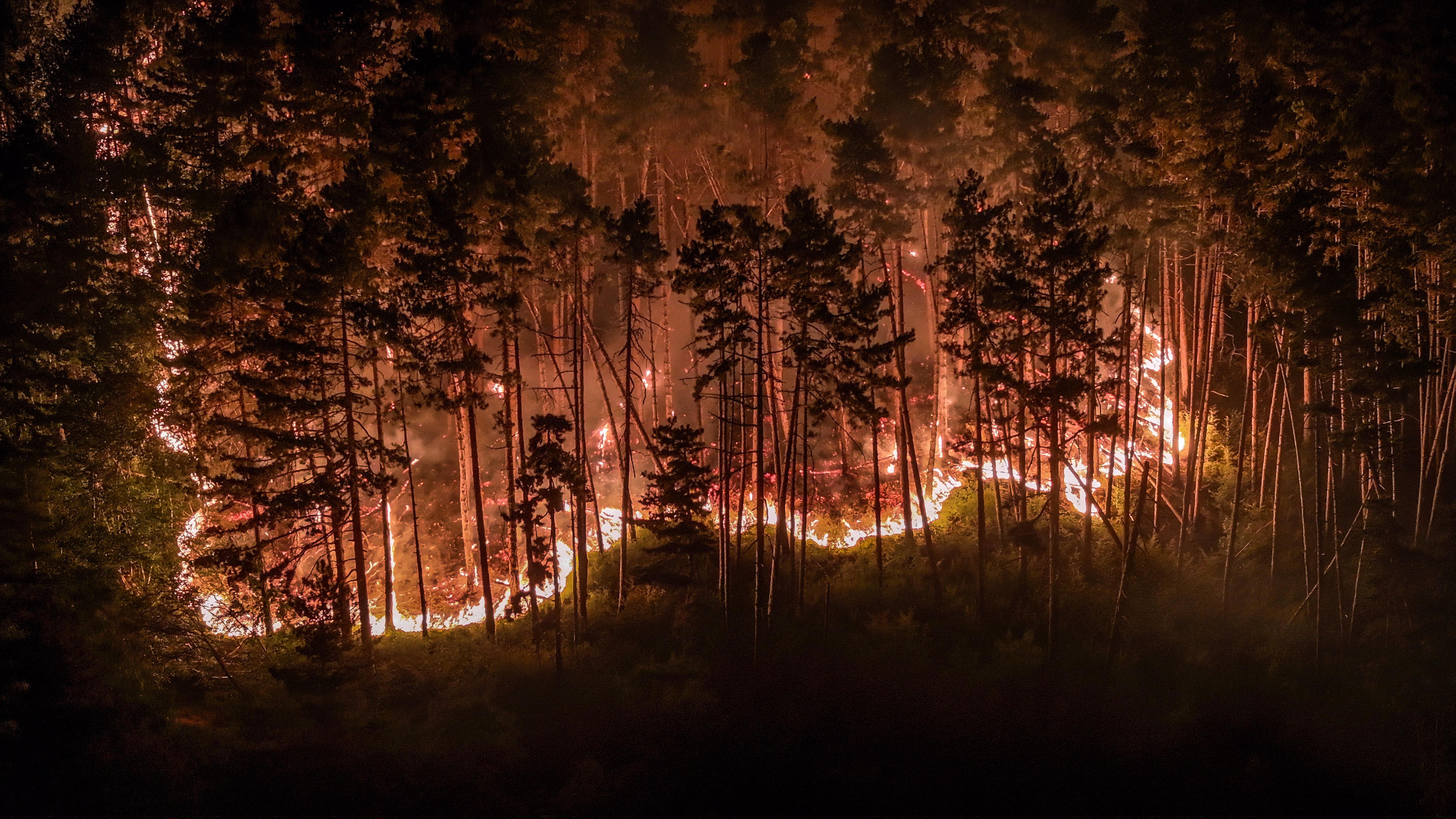 An aerial photo shows a forest fire burning at night.