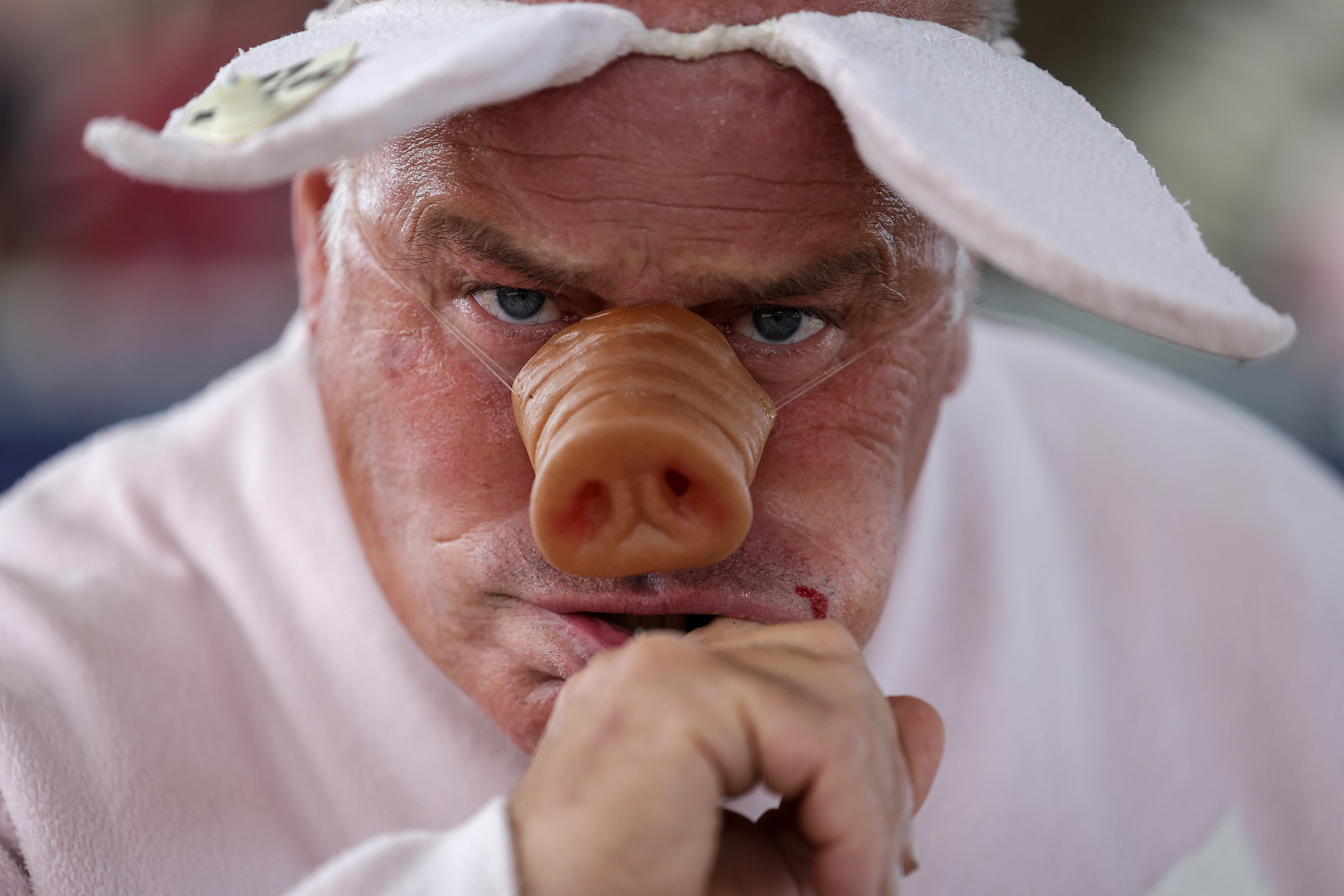A man stares into the camera while wearing costume pig's ears and a false pig nose.