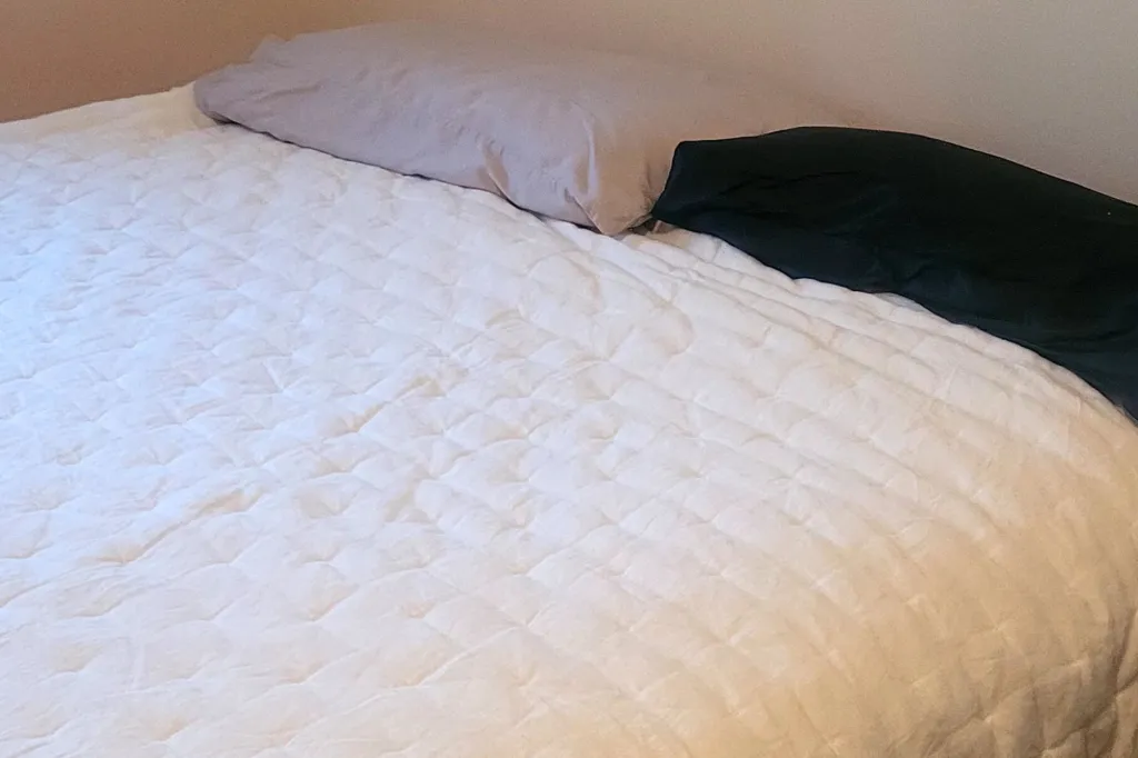 Holly J. Coley's Quince Comforter