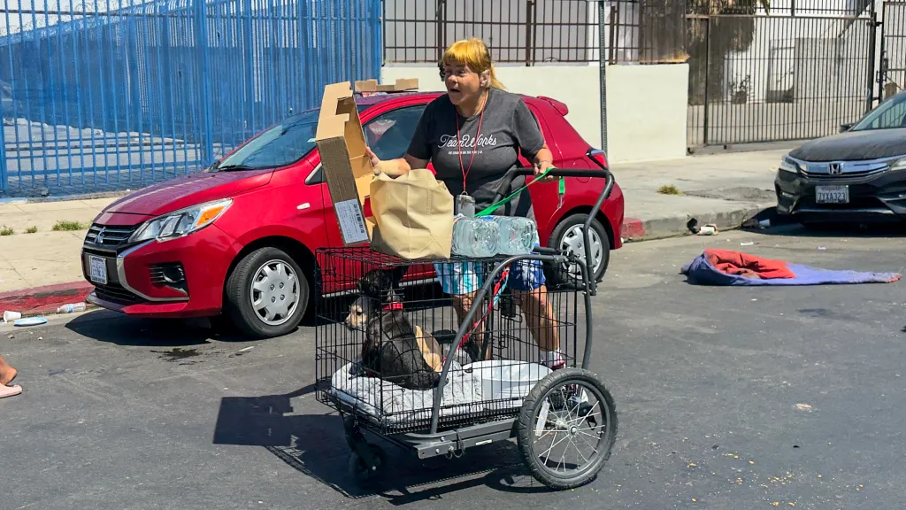 A woman pushes a cart containing two dogs in a cage, a paper bag, and two water bottles along a street in Skid Row.