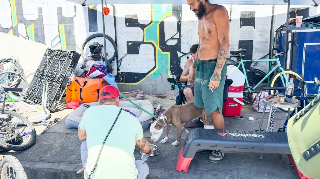 Two men and two dogs at a homeless encampment in Skid Row.