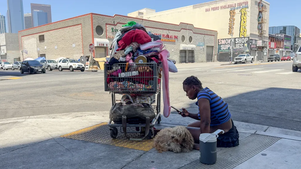 A homeless person with a dog next to a loaded shopping cart on a Skid Row street.