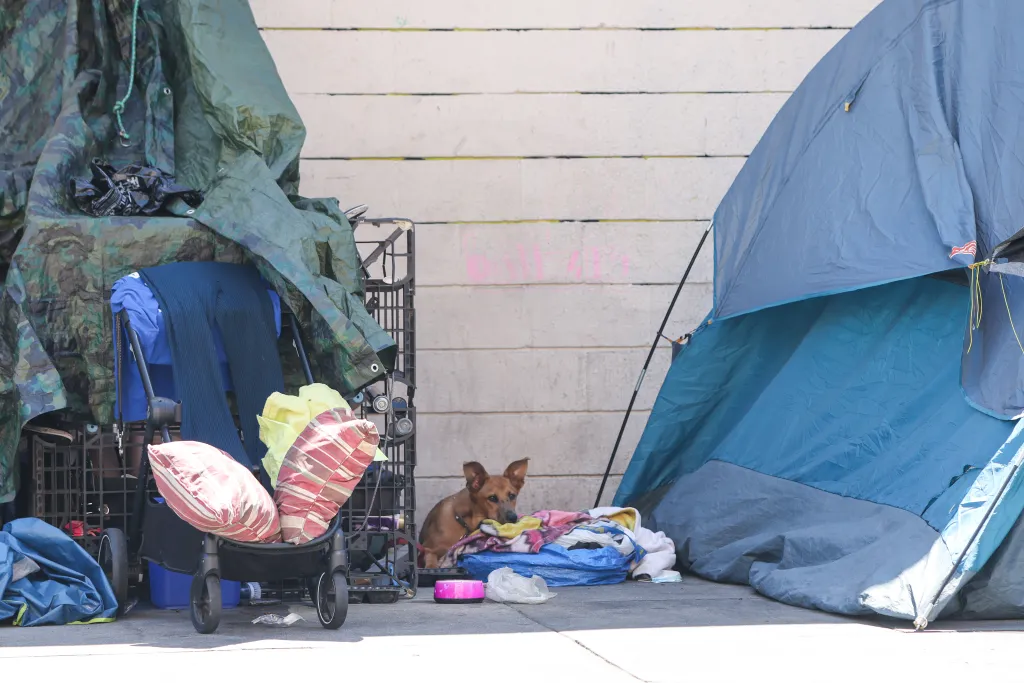 A brown dog lies among belongings next to a tent on Skid Row.