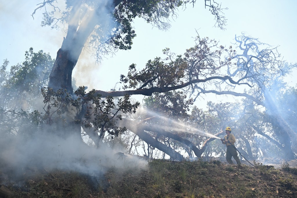 A firefighter battling the Timber Fire in Big Sur, California, by spraying water on smoking trees.