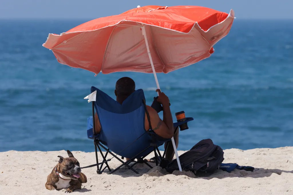 A person sitting in a blue beach chair under a red umbrella on Venice Beach, next to a dog and a backpack, with the ocean in the background.