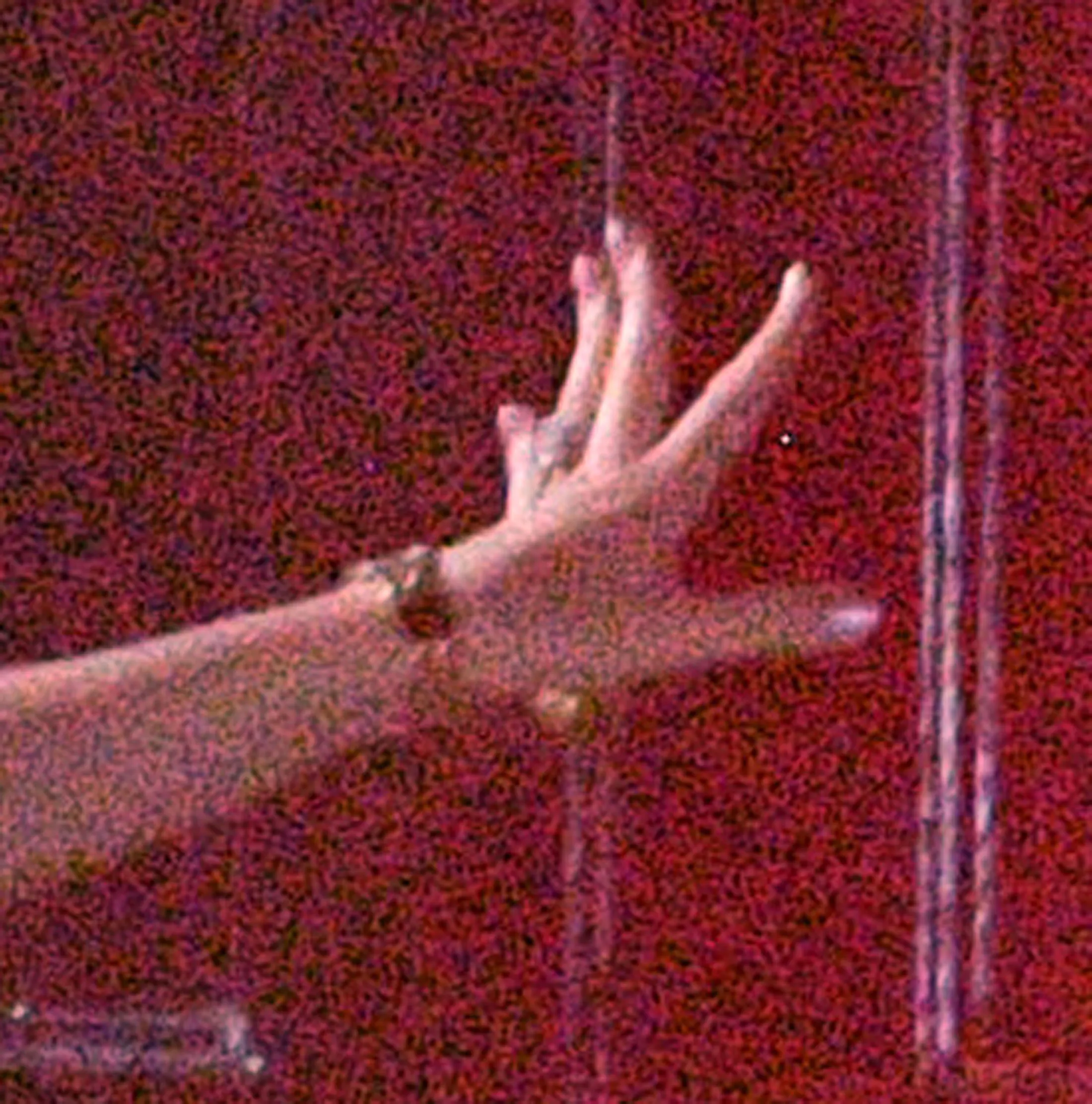 Taylor Swift's ring, a newlywed since her marriage to Travis Kelce.