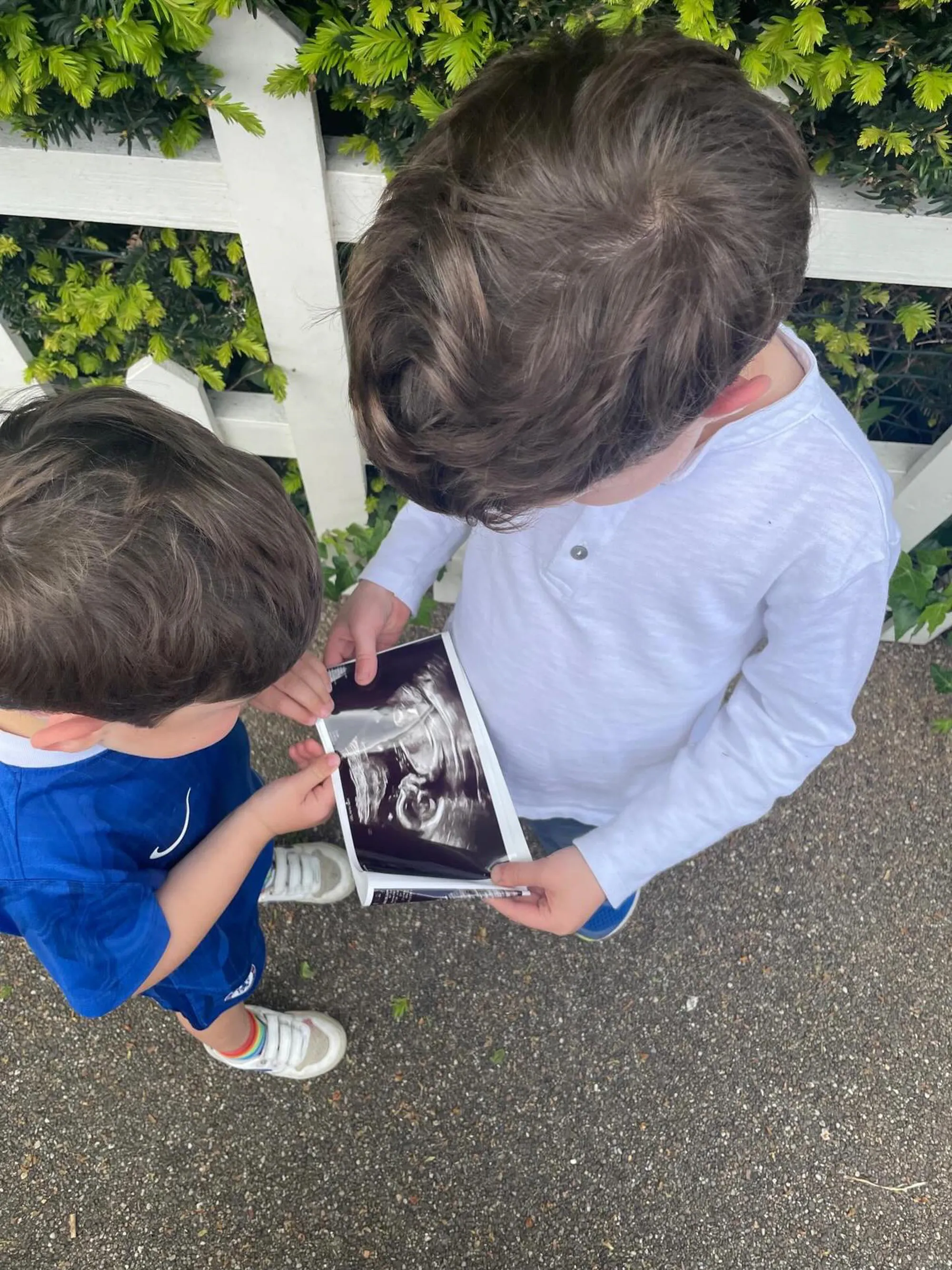 Two young boys holding a sonogram of a baby, announcing a new addition to the family.