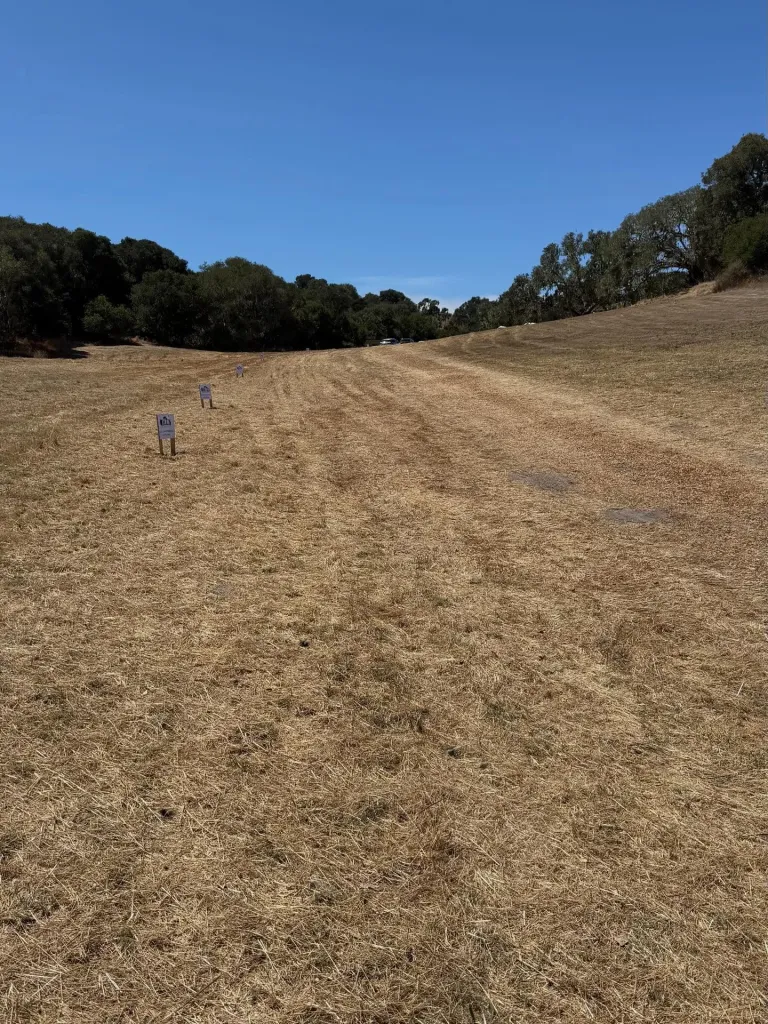 An 84-acre parcel of dry grassland with scattered white signs, bordered by trees and a clear blue sky, now stewarded by the Ohlone/Costanoan-Esselen Nation.
