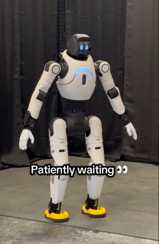 A black and white robot standing alone