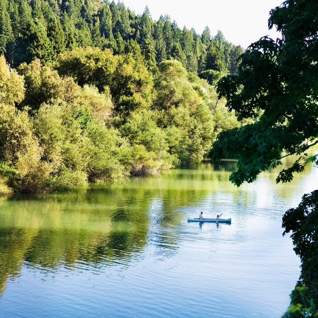 A couple paddles a canoe on the Russian River in Sonoma, California, with green trees lining the banks.