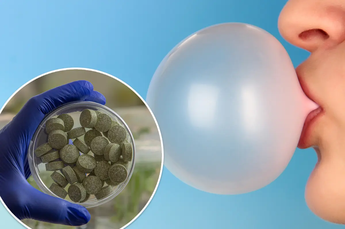 Scientists create chewing gum that could protect high-risk people from mouth and throat cancer
