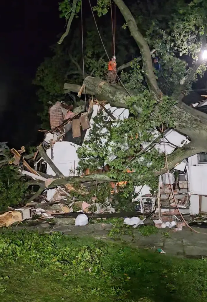 A large tree fell on a Westbury home, damaging it and trapping cats inside.