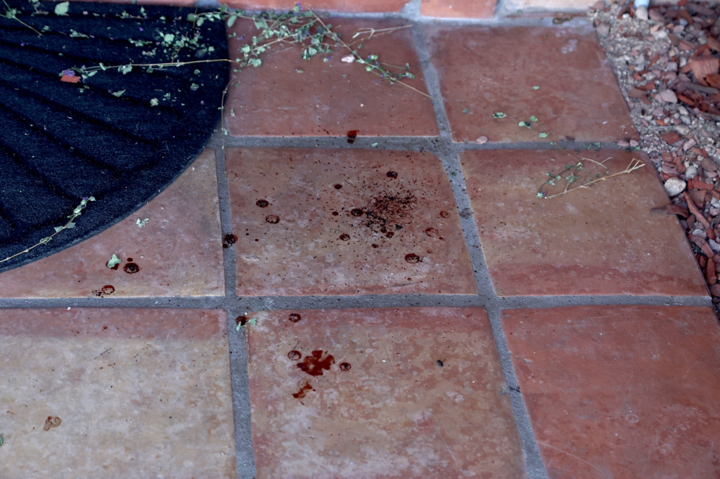 Possible blood spatters on the tiled floor at the front door of Nancy Guthrie's home.