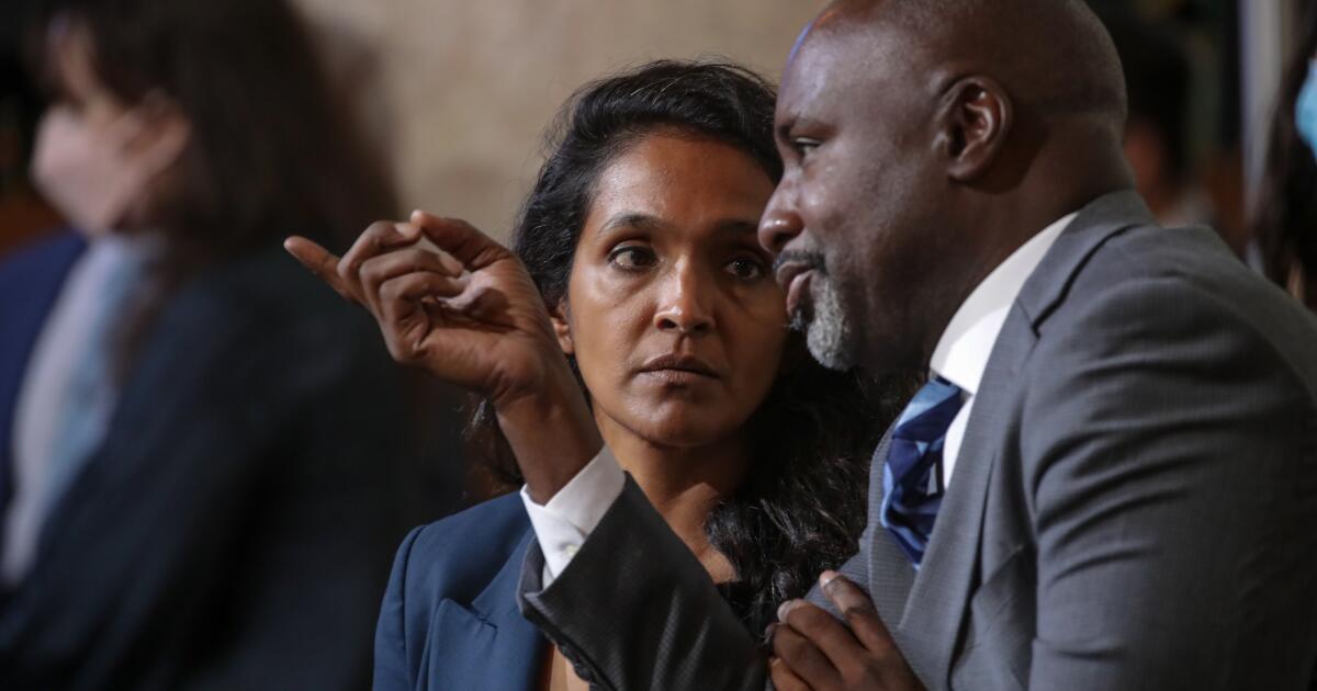 Raman will lose homelessness committee chair as mayoral race heats up, sources say