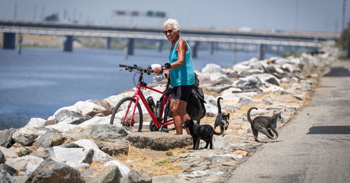 The eight-mile gap in the L.A. River bike path downtown has a billion-dollar problem