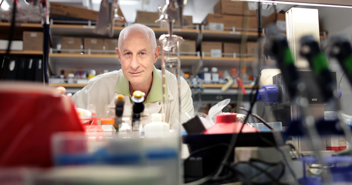 From mice to ‘gym rats’: Unregulated use of peptides raises alarm among researchers